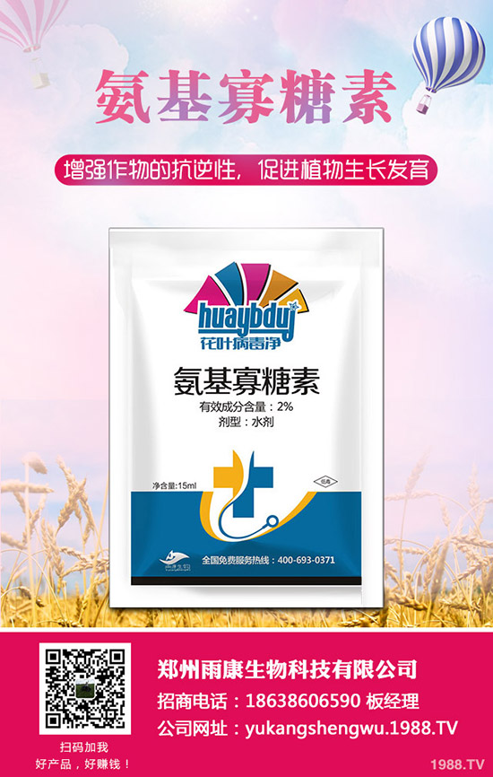 番茄發(fā)生肥害怎么辦？番茄肥害怎么快速恢復(fù)？