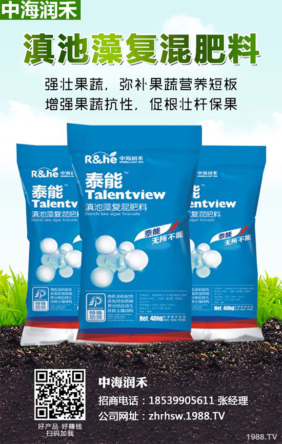 小麥四月份遇到“倒春寒”有多大影響？該如何補(bǔ)救？小麥四月份農(nóng)事指南