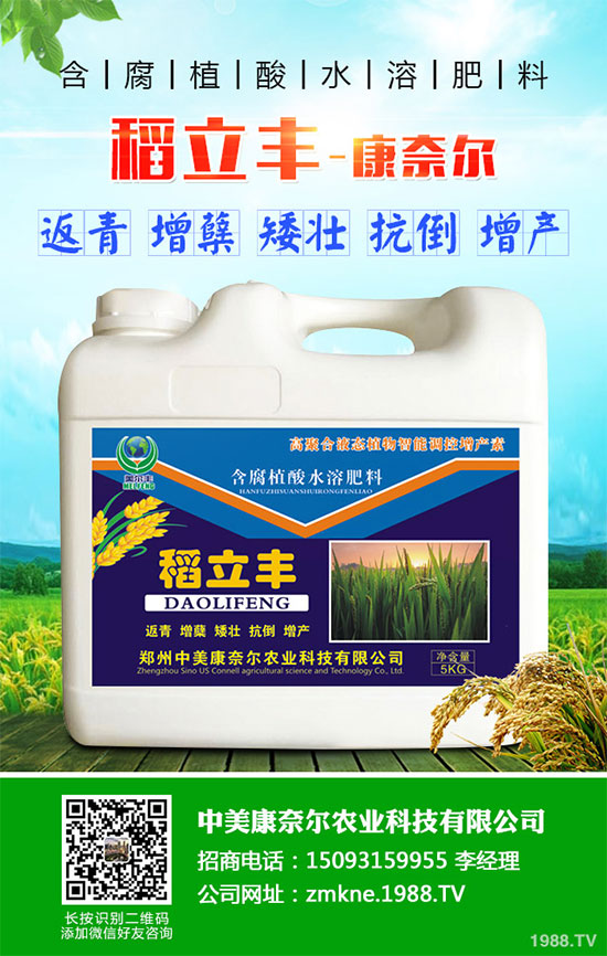 小麥四月份遇到“倒春寒”有多大影響？該如何補(bǔ)救？小麥四月份農(nóng)事指南