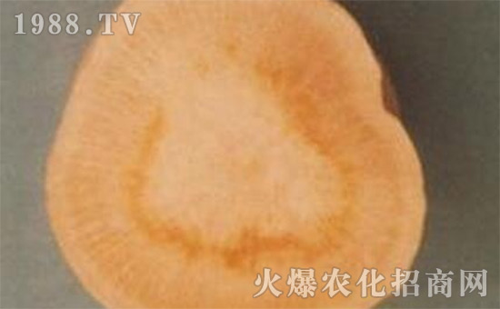     �}�����Ĳ��İY����}�����Ĳ��ķ�����