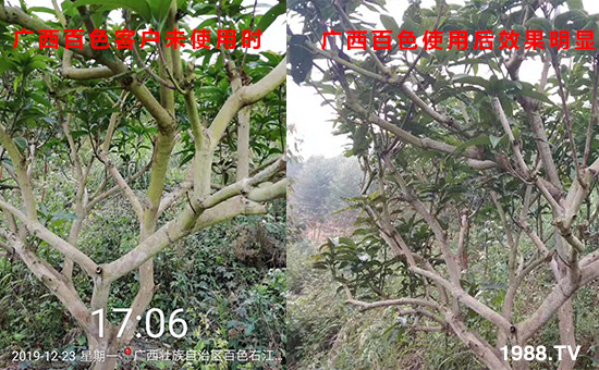 �V����ɫ�͑�δʹ�Õr(sh��)��ʹ�ú�Ч�����@��