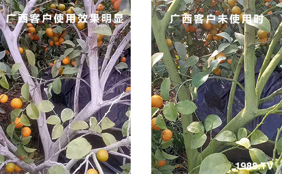 �V���͑�ʹ��Ч�����@��δʹ�Õr(sh��)��