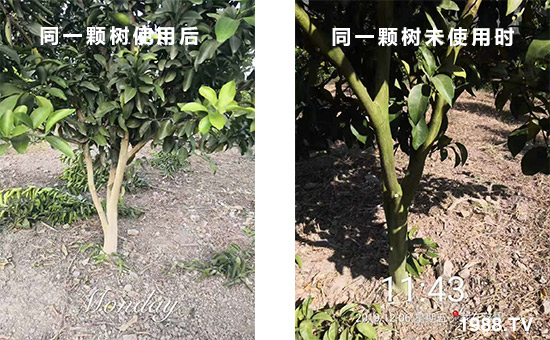 ͬһ�w��ʹ�ú��ͬһ�w��δʹ�Õr(sh��)��