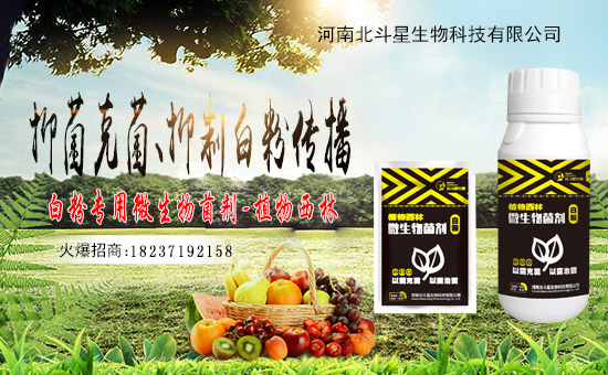 1988.TVϲӭ�»�飬���ϱ����ǔy��1988.TV���Aδ����