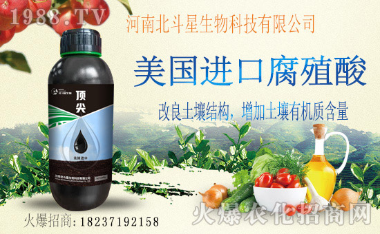 1988.TVϲӭ�»�������ϱ����ǔy��1988.TV���Aδ����