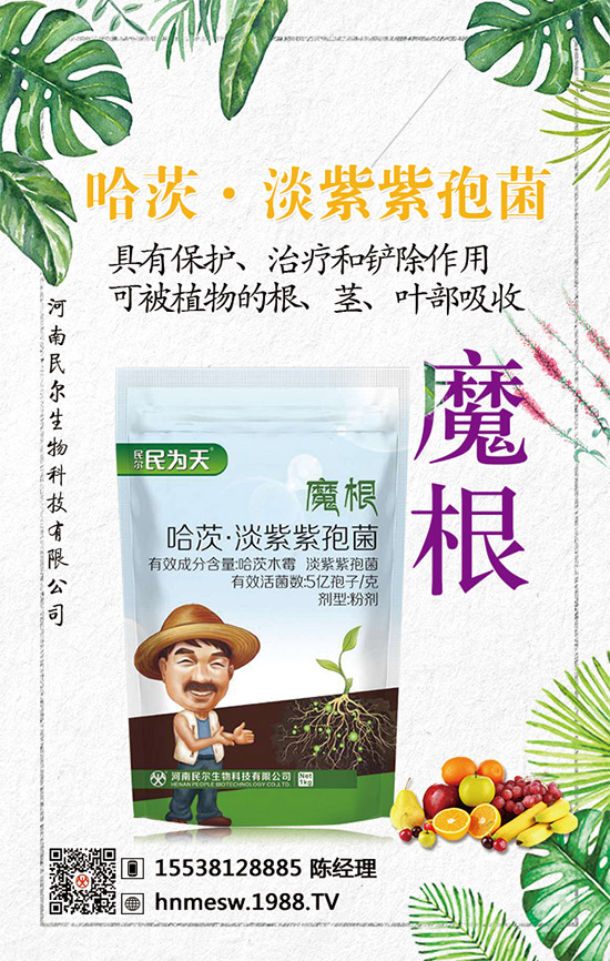 �����������������ٺ�1988.TV������(chu��ng)���x����