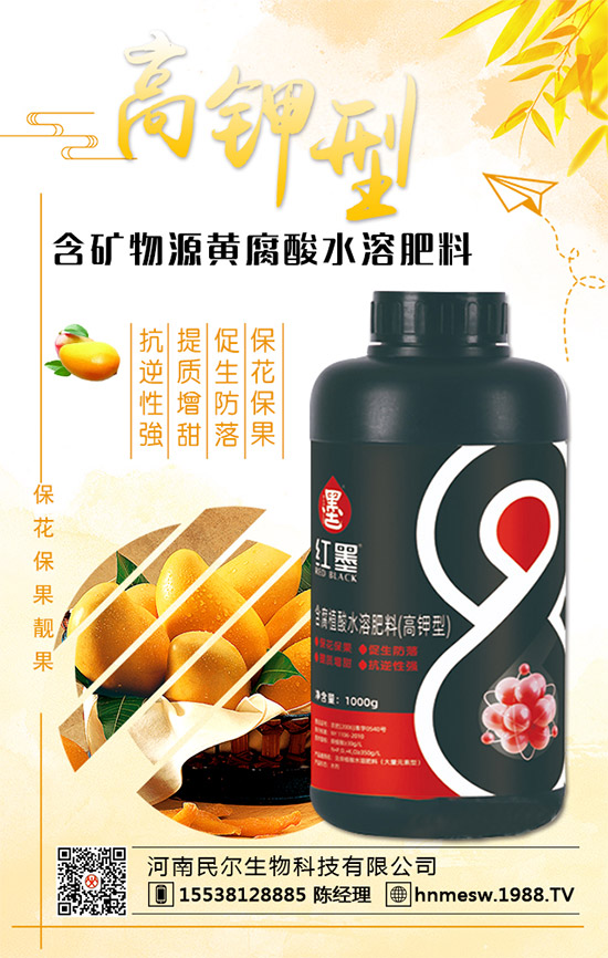 �����������������ٺ�1988.TV������(chu��ng)���x����