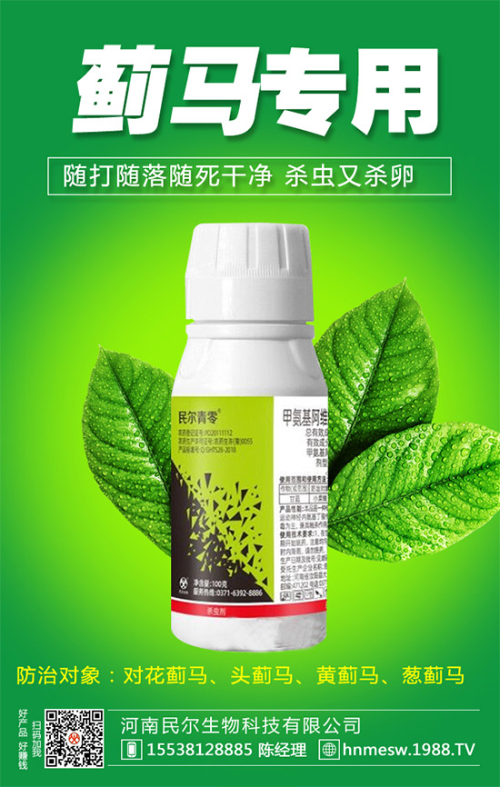 �����������������ٺ�1988.TV������(chu��ng)���x�ͣ�