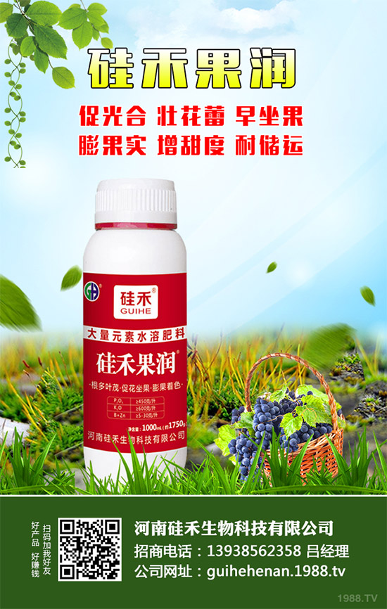 �������\�°l(f��)չ�����Ϲ�������ٴκ��s1988.TV��