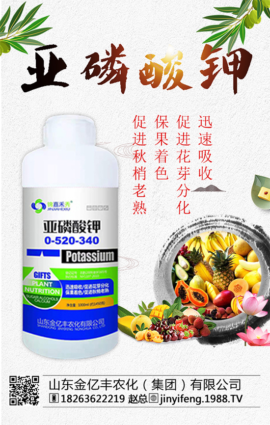 ��(zh��n)�Ժ�����������ɽ�|���|�S�ٺ�1988.TV���A2020��