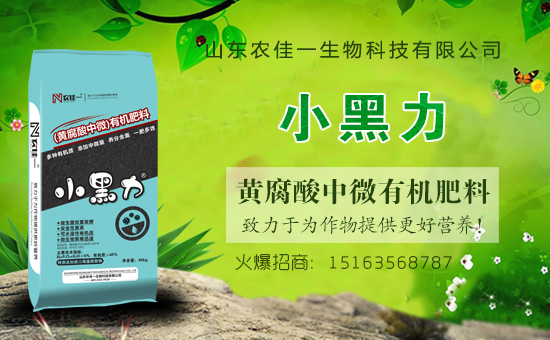 ���r(n��ng)���W(w��ng)ϲӭ���������r(n��ng)��һ���ﺞ�s���v1988.TV��