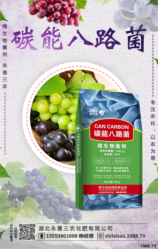 莧菜種植時間是什么時候，莧菜種植方法技術