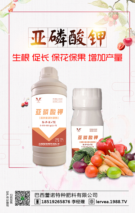 ����ȱ���ʲôΣ����⛷���ʲô������⛷ʷN��x����