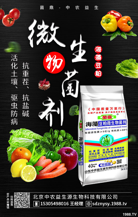     春季用肥基本結(jié)束，最新鉀肥價格走勢預(yù)測2020-4-13