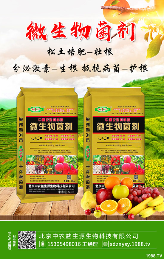     復(fù)合肥市場報價小幅下跌試探！最新復(fù)合肥價格行情分析2020-4-15！