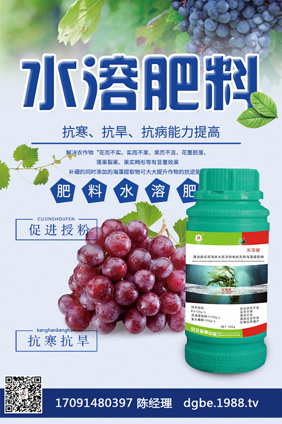 露地西瓜該如何育苗？春季露地西瓜高產栽培技術