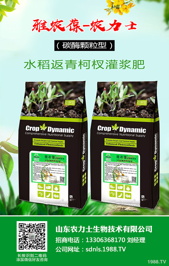     國內(nèi)尿素價格小幅探漲！最新尿素行情走勢綜合預(yù)測2020-4-16