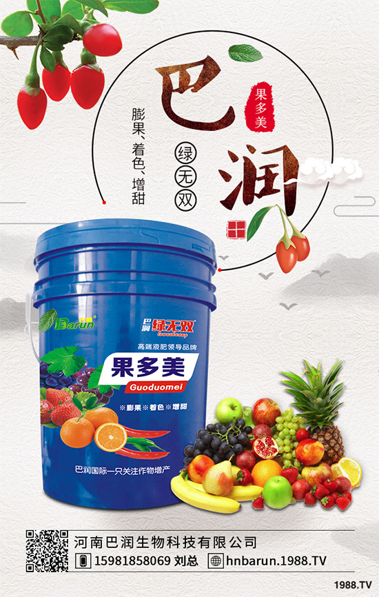     露地番茄該如何定植？定植密度是高產(chǎn)重要措施，快看看老農(nóng)怎么做！