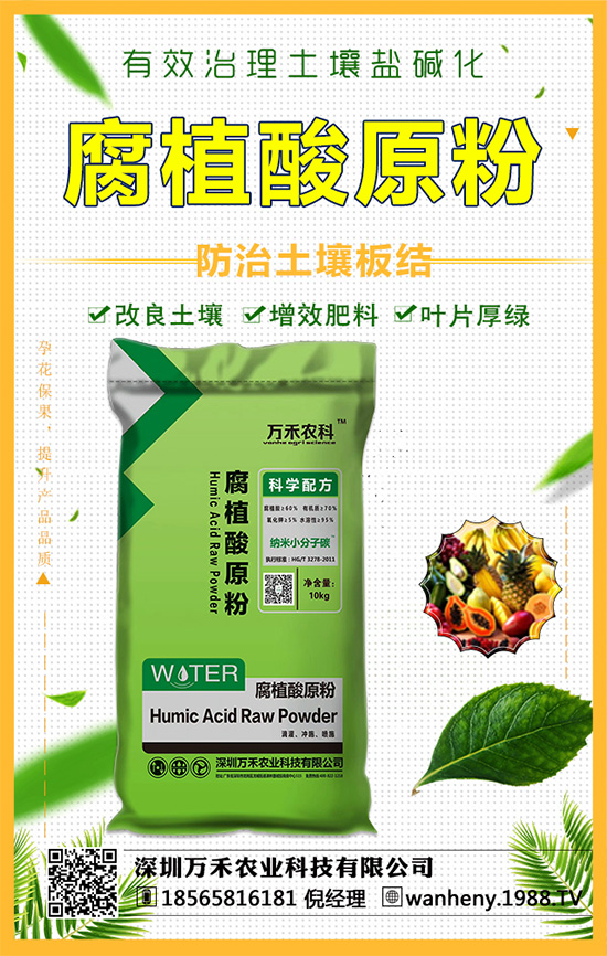 �����f���r(n��ng)�I(y��)�ٶȔy��1988.TV������W(w��ng)�j(lu��)�������E��