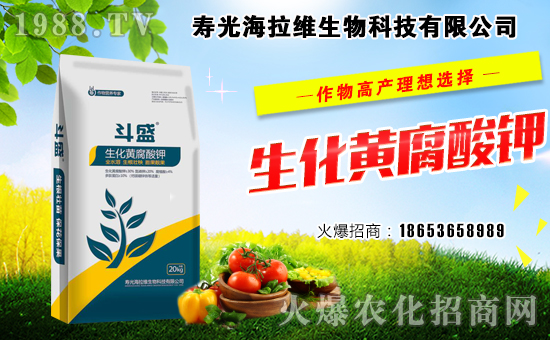 ���r(n��ng)���W(w��ng)ϲӭ�����ѣ������S���ﺞ�s���v1988