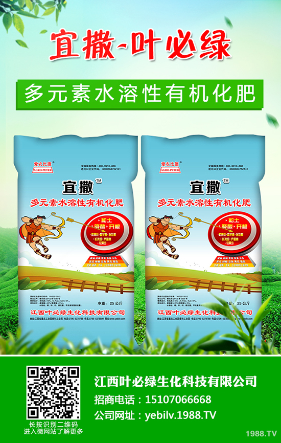 葫蘆種子怎么種 葫蘆種子催芽方法有哪些？