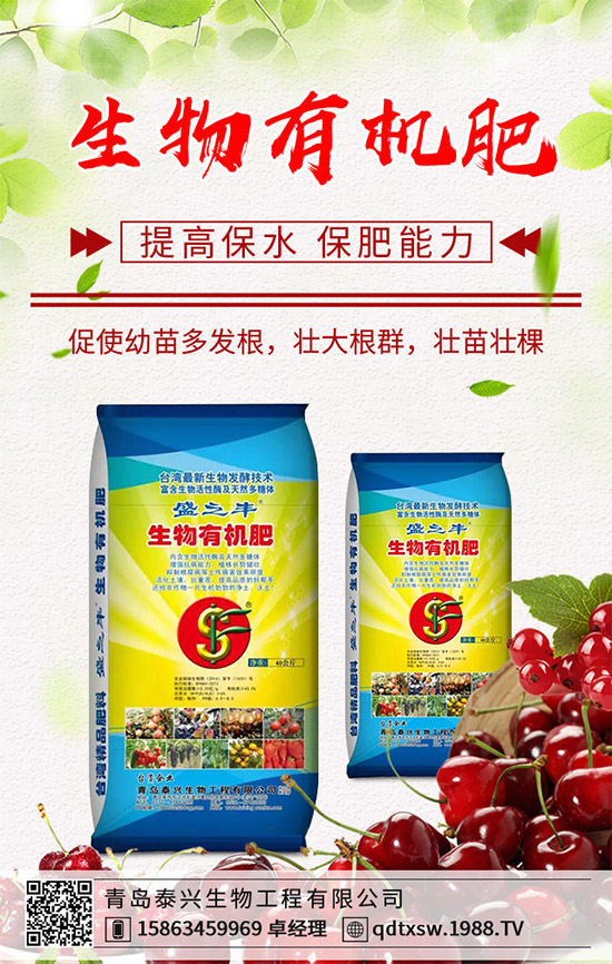 生姜該如何播種育苗？生姜高產(chǎn)栽培技術(shù)要點(diǎn)