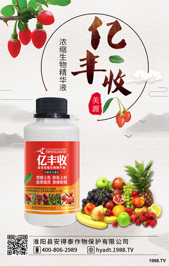 西葫蘆栽培品種有哪些？ 西葫蘆的生長習性！