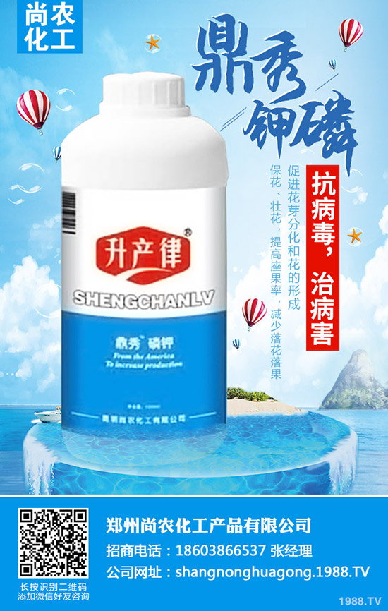     ���{(l��n)���Y(ji��)����ô�k�����{(l��n)���Y(ji��)��ԭ�򼰷��δ�ʩ��