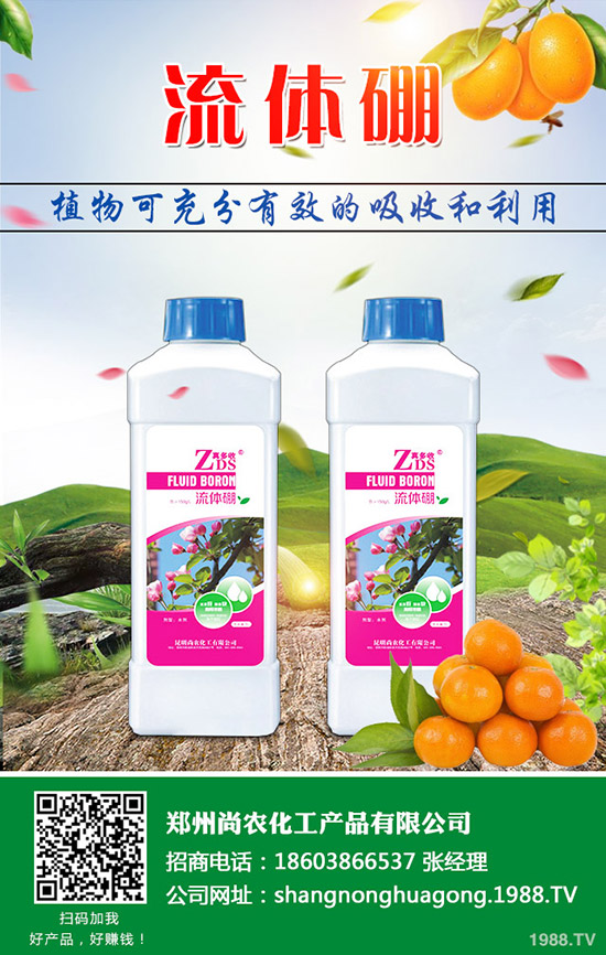     葫蘆瓜的種植條件有哪些，葫蘆育苗技術(shù)及種植方法！