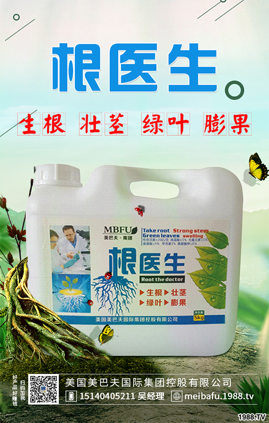 春花生什么時候播種？春花生的播種時間及注意事項