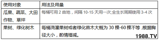 ����2̖-���r��-�³�