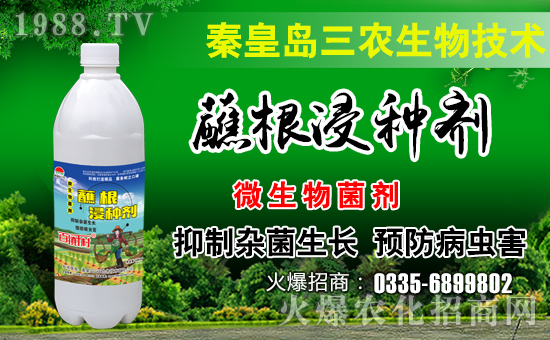 �ػʍu���r(n��ng)����A����˻��r(n��ng)���W(w��ng)���_(k��i)���W(w��ng)�j(lu��)������������