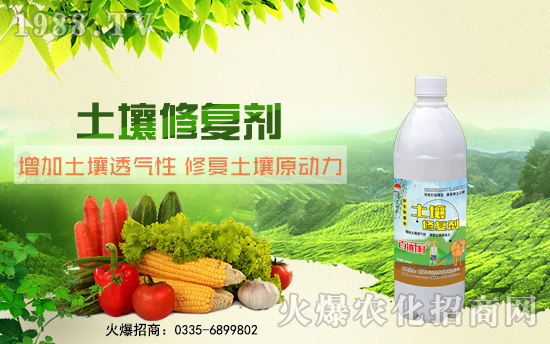 �ػʍu���r(n��ng)����A����˻��r(n��ng)���W(w��ng)���_(k��i)���W(w��ng)�j(lu��)������������