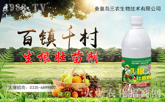 �ػʍu���r(n��ng)����A����˻��r(n��ng)���W(w��ng)���_(k��i)���W(w��ng)�j(lu��)������������