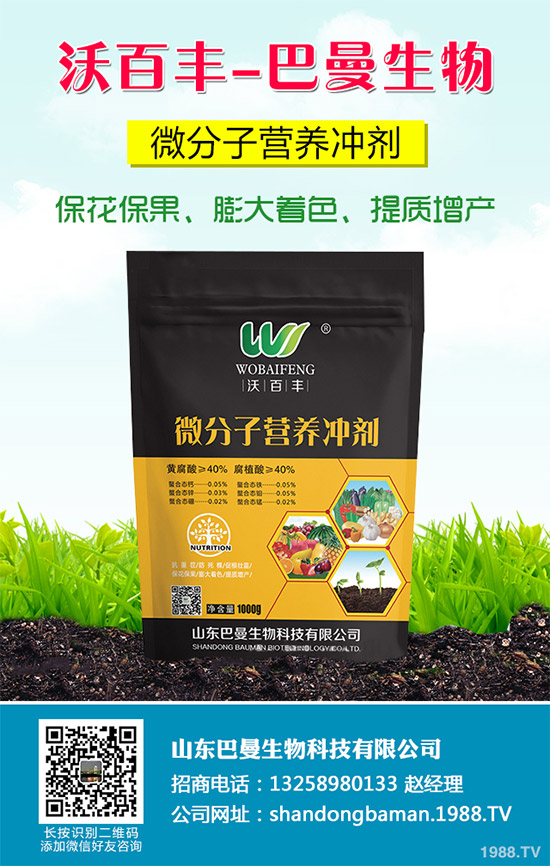 春花生播種的常見(jiàn)誤區(qū)，不少農(nóng)戶犯過(guò)錯(cuò)（附解決方案）