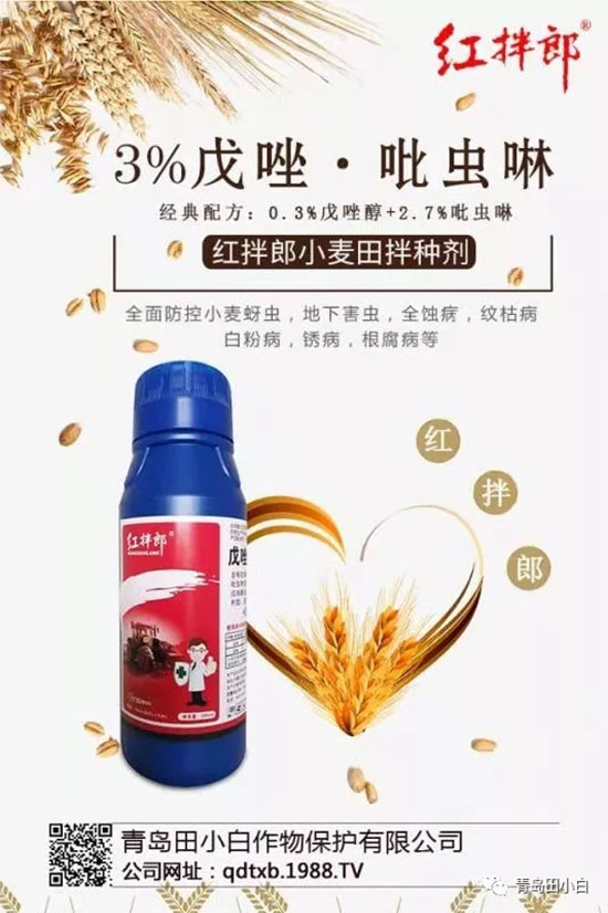 玉米為什么要拌種？玉米二次拌種及注意事項！