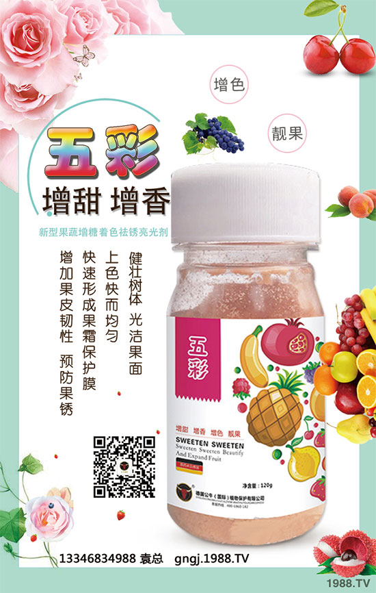 如何因地因品種確定玉米種植行距？玉米株距多遠(yuǎn)才是科學(xué)的？