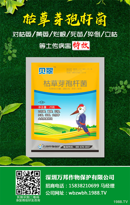 小麥赤霉病藥劑防治效果，有了新變化！