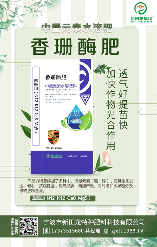 �����P(gu��n)ϵ�����A���������m(x��)�s1988.TV�����\�����°l(f��)չ��