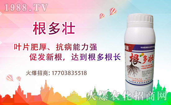 1988.TVϲӭ�����ѣ������³��_���W(w��ng)�j������������