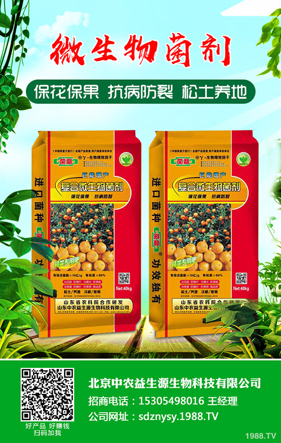     2020-4-22鉀肥國內(nèi)市場行情持續(xù)穩(wěn)定！價格整體偏低運行！最新行情分析！