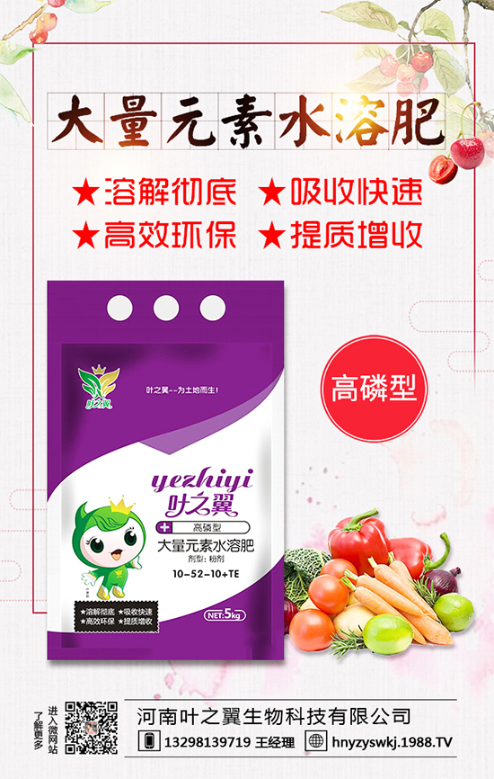 薄荷生長習性有哪些？薄荷的田間管理要點！