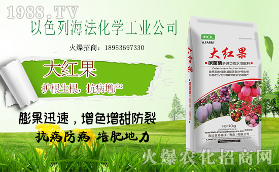 ��ɫ�к����ٺ����r(n��ng)���W(w��ng)����ȭ�����r(n��ng)�Y�W(w��ng)�j(lu��)�Ј�(ch��ng)��