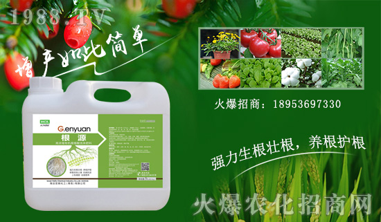 ��ɫ�к����ٺ����r(n��ng)���W(w��ng)����ȭ�����r(n��ng)�Y�W(w��ng)�j(lu��)�Ј�(ch��ng)��