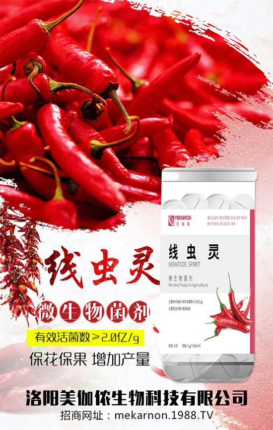 ��(zh��n)�Ժ�������������٤�z�����ٺ��r(n��ng)���W(w��ng)���A2020��