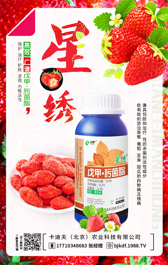 豆角要不要打尖？豆角如何正確整枝打尖呢？