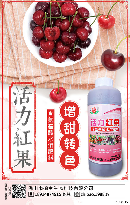 金銀花畝產(chǎn)量是多少？金銀花高產(chǎn)種植技術(shù)