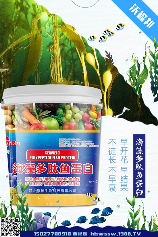     茄子種植需要注意哪些問題，茄子的水肥管理要點(diǎn)！