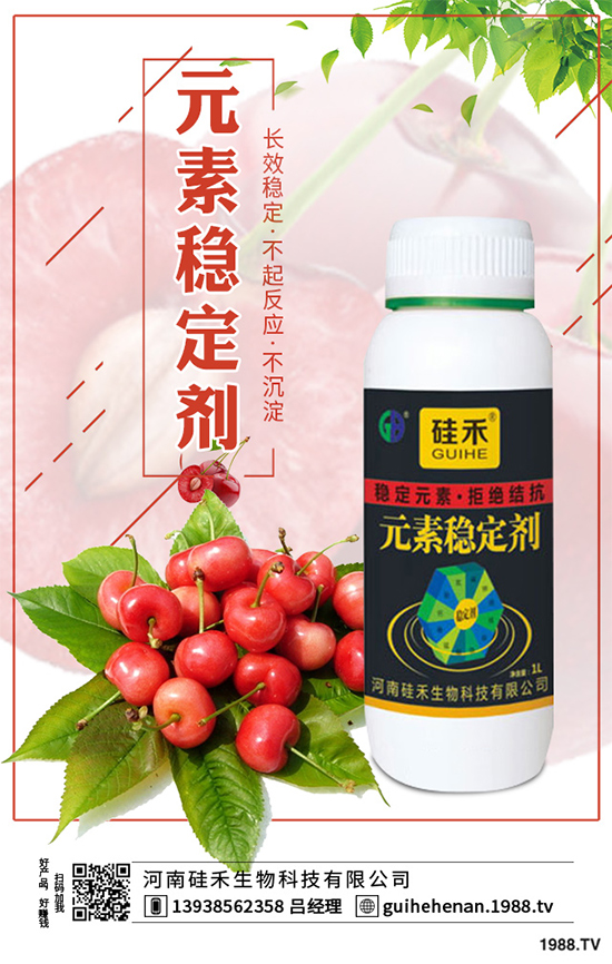 ��ˎԓ��ô�Nֲ����ˎ�Nֲ�İ˴��E��������(hu��)���