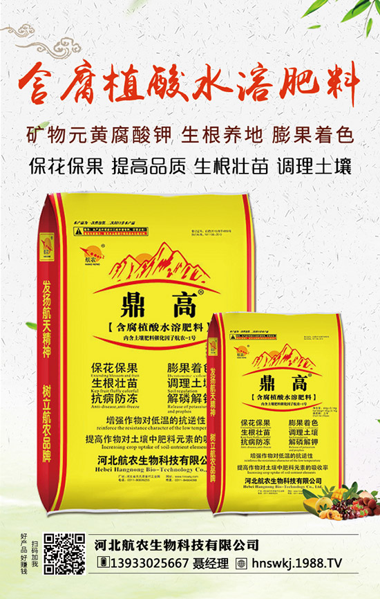 西瓜枯萎病如何防治？西瓜枯萎病和青枯病的區(qū)分！